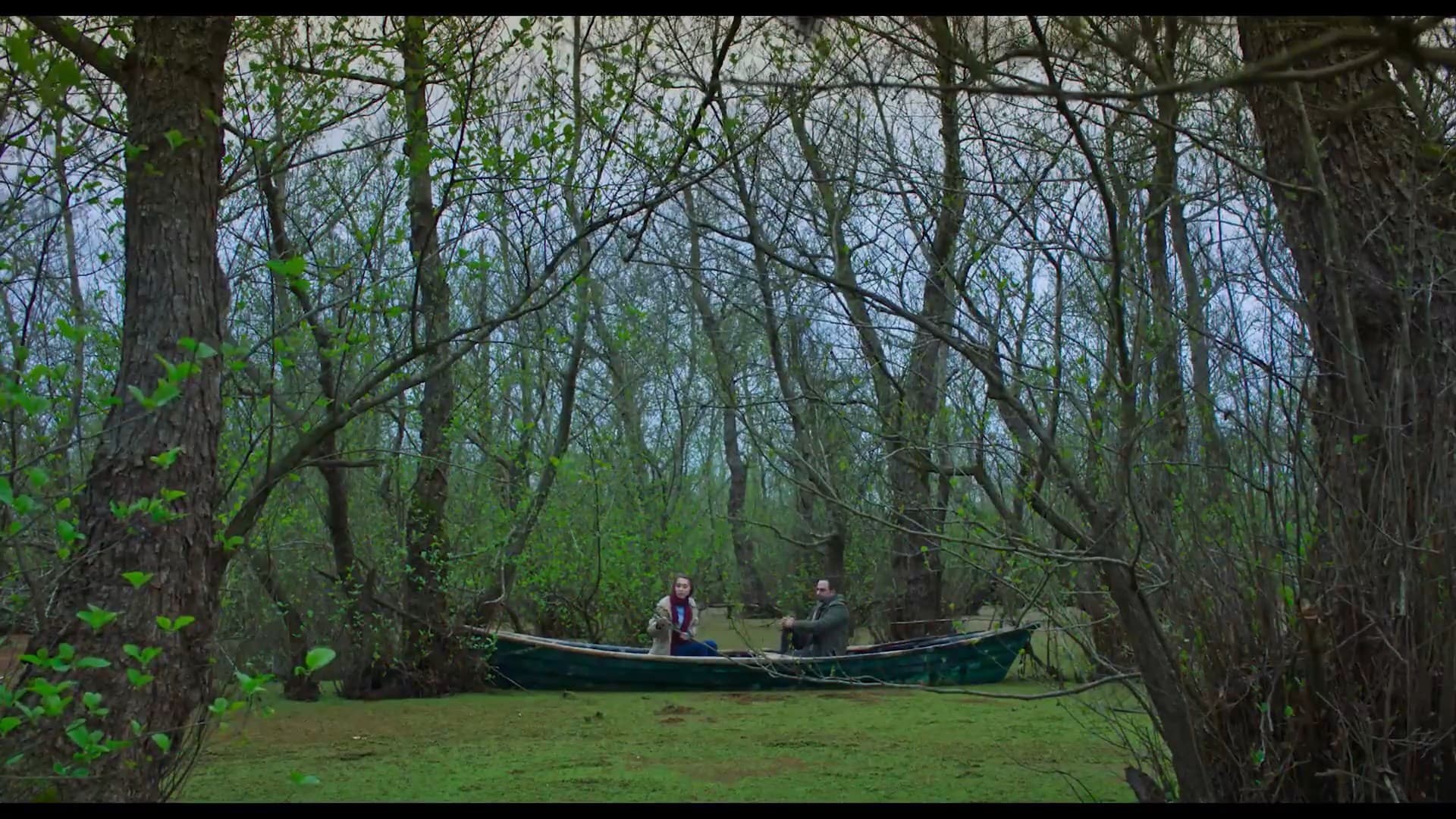 فصل ماهی سفید