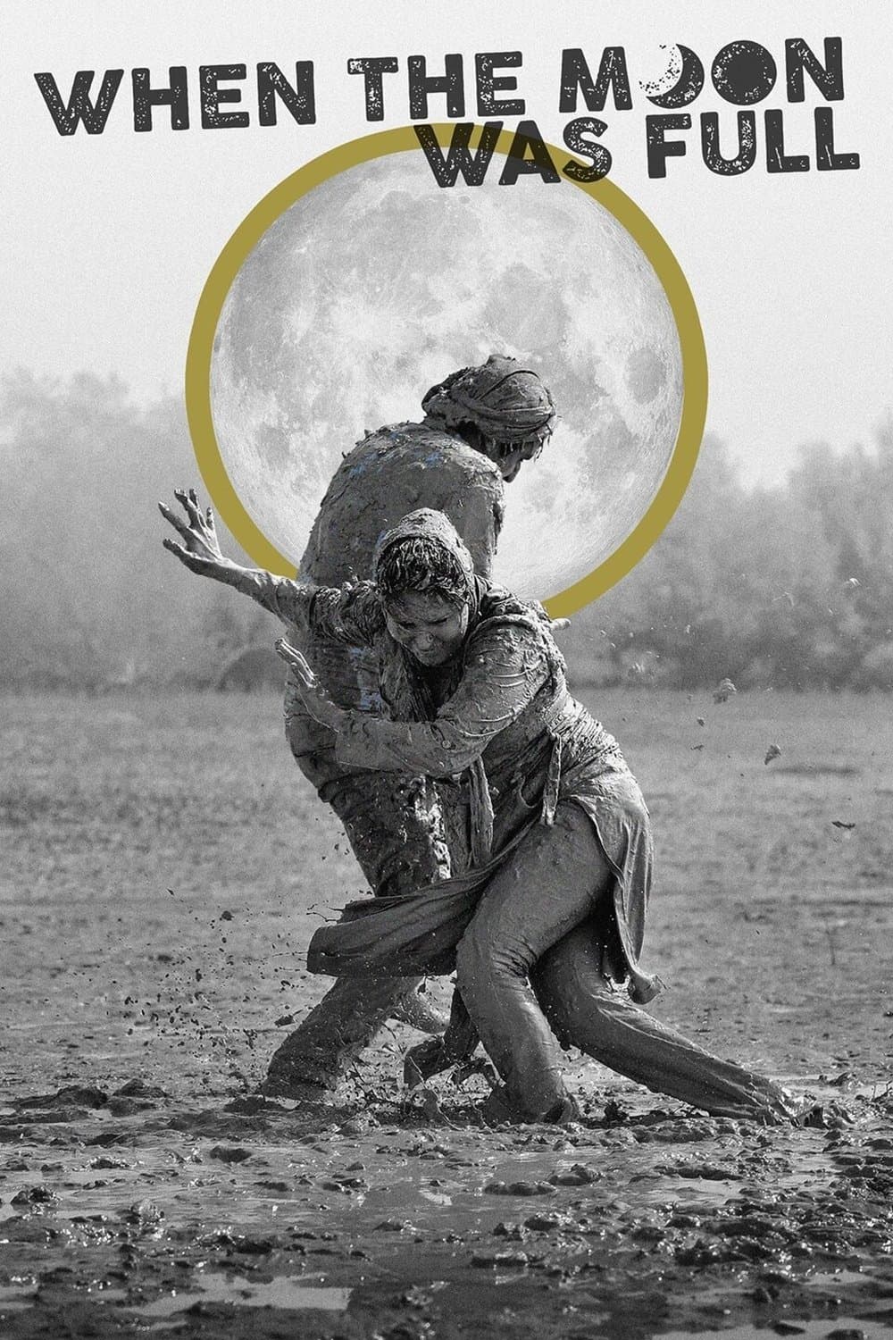 شبی که ماه کامل شد