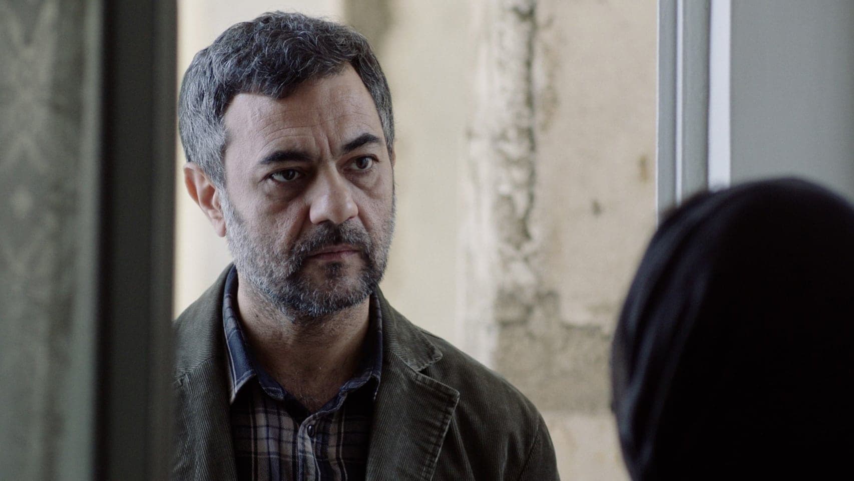 تصنیف گاو سفید