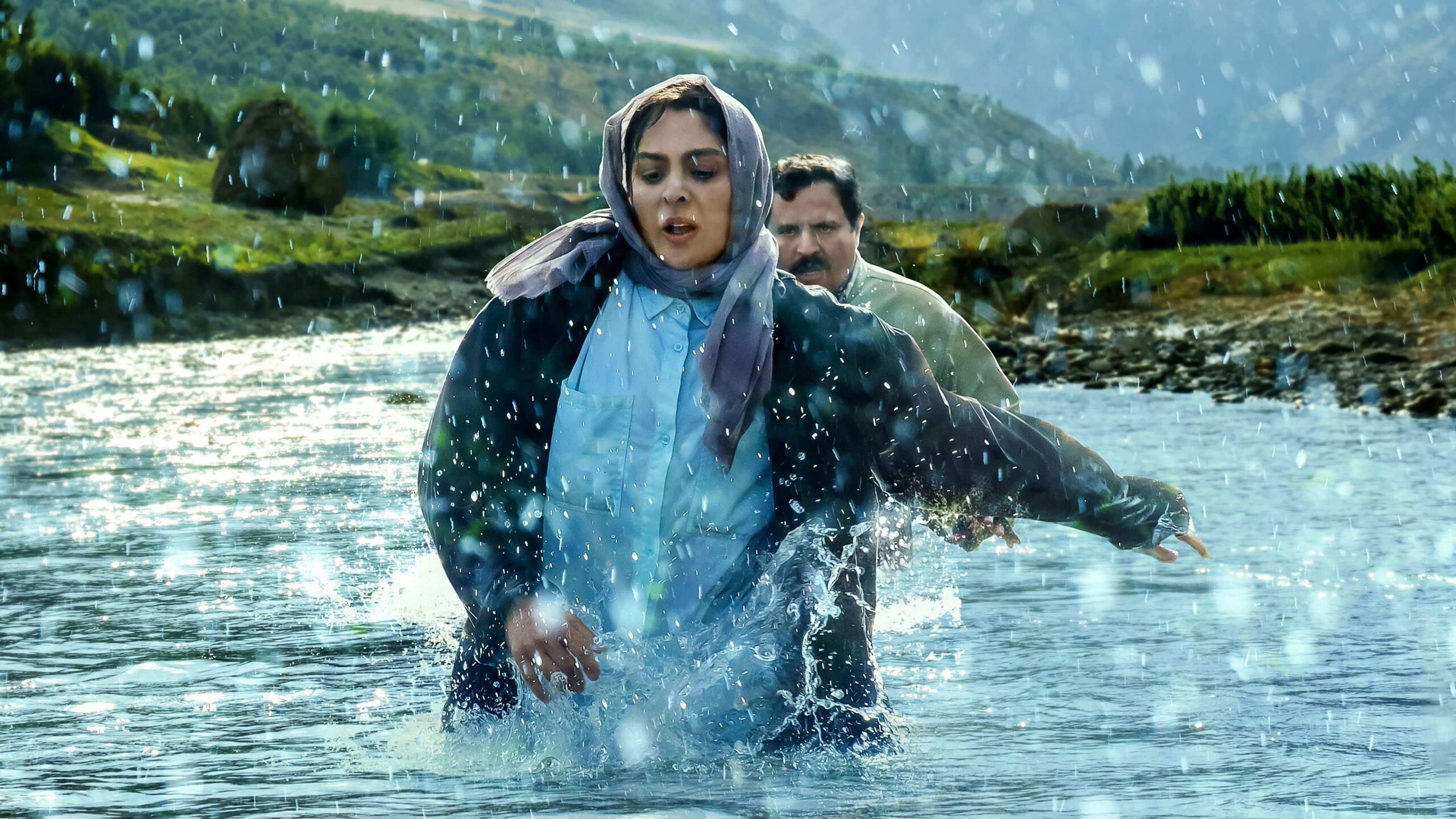 در آغوش درخت